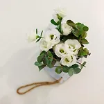 شقة White Stylish