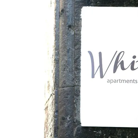 شقة White Stylish