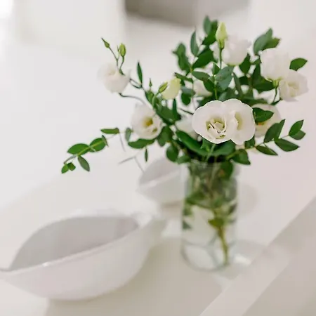 White Stylish *