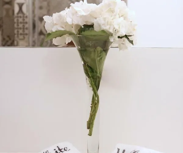 White Stylish Apartamento